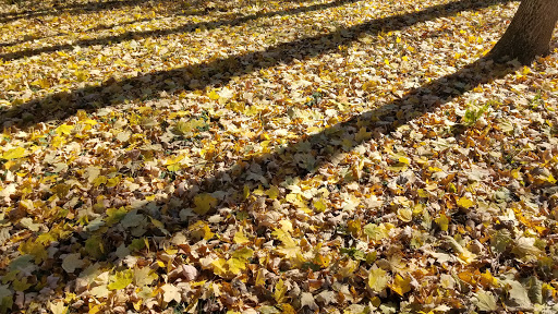 Park «Seneca Park», reviews and photos, 3151 Pee Wee Reese Rd, Louisville, KY 40207, USA