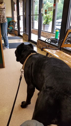 Veterinary Associates