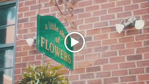 Florist «Little Shop of Flowers», reviews and photos, 2421 18th St NW, Washington, DC 20009, USA
