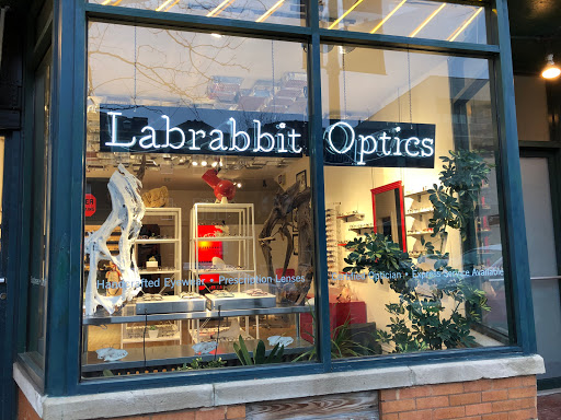 Lab Rabbit Optics