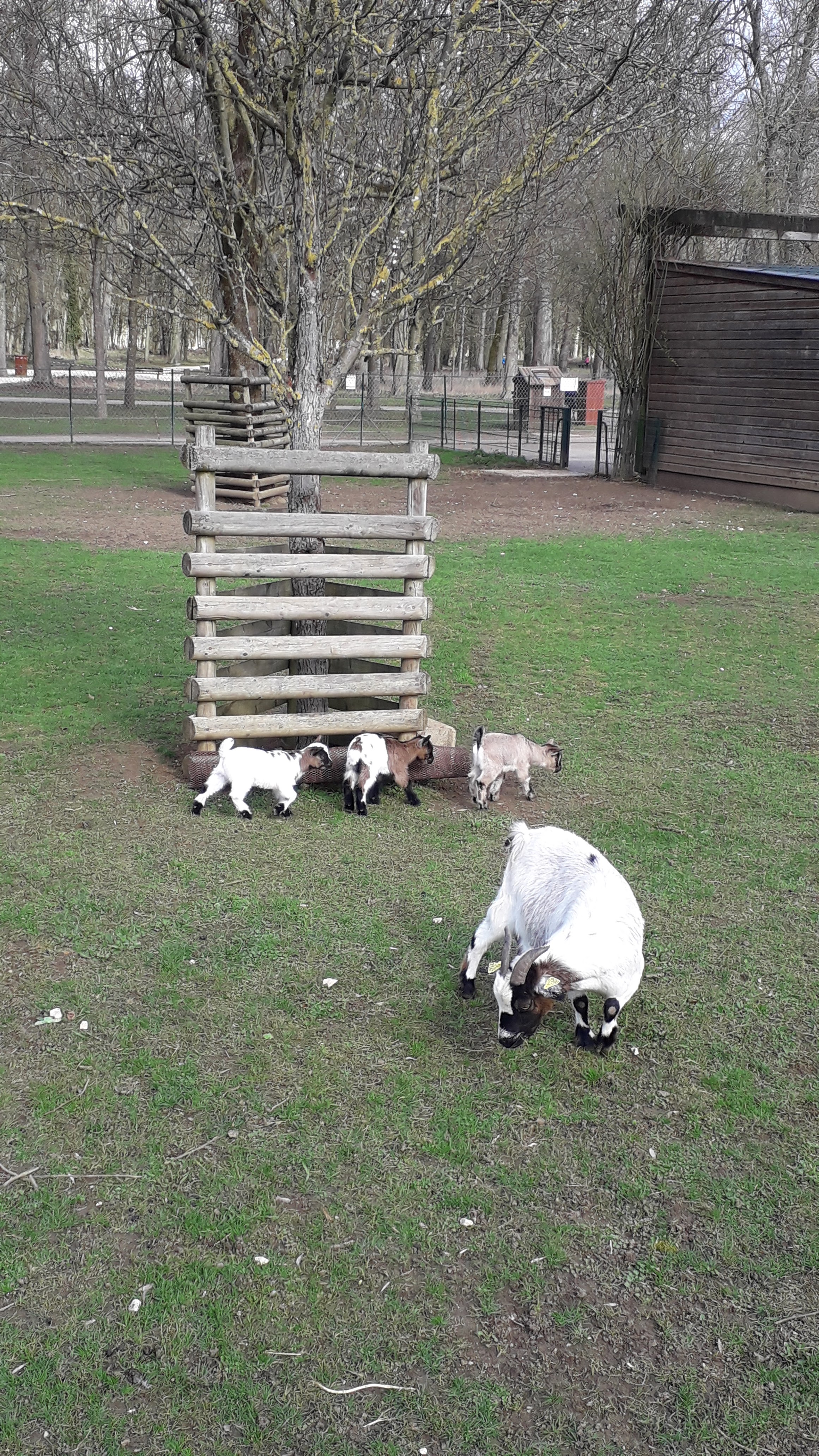 Photo n° 3 de l'avis de Annie.a fait le 10/03/2019 à 16:37