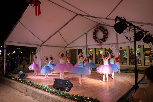 Dance School «Preston Hollow Dance», reviews and photos, 3720 Walnut Hill Ln #205, Dallas, TX 75229, USA