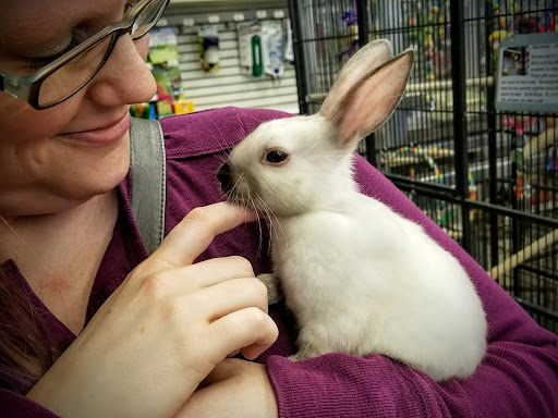 Pet Store «Critters Pet Shop», reviews and photos, Randall Rd, South Elgin, IL 60177, USA