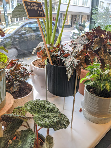 Love Your Plants