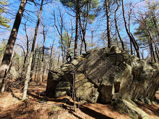 State Park «Wilson Mountain Reservation», reviews and photos, 384 Common St, Dedham, MA 02026, USA