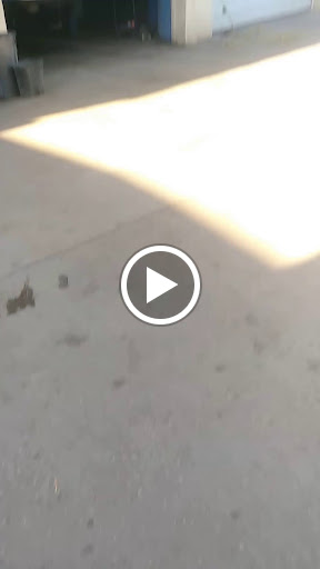 Auto Parts Store «Empire Auto Parts», reviews and photos, 970 Fort St, Lincoln Park, MI 48146, USA