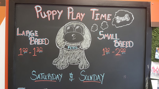 Pet Supply Store «Petco Animal Supplies», reviews and photos, 545 Ritchie Hwy, Severna Park, MD 21146, USA