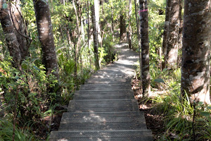 Alice Eaves Scenic Reserve