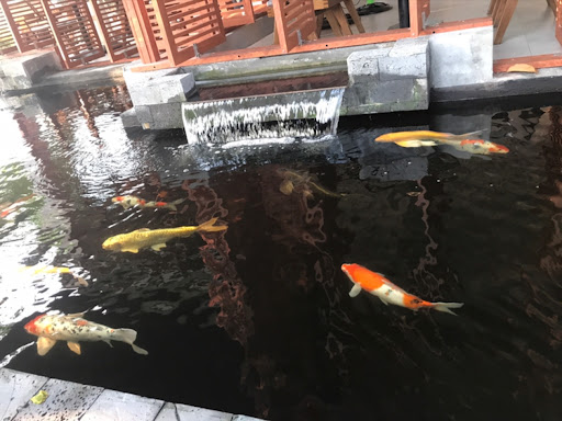 Top 20 cửa hàng cf Huyện Cẩm Xuyên Hà Tĩnh 2022