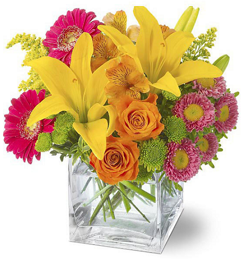 Florist «Bloomtastic Florist», reviews and photos, 2136 Arlington Ave, Columbus, OH 43221, USA