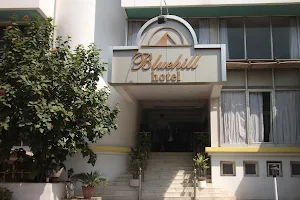 Hotel Bluehill - Hotel in Bhavnagar image