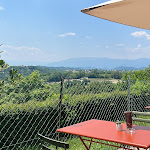 Photo n°7 de l'avis de Gianluca.i fait le 22/06/2023 à 09:00 sur le  Osteria di Collalbrigo à Conegliano