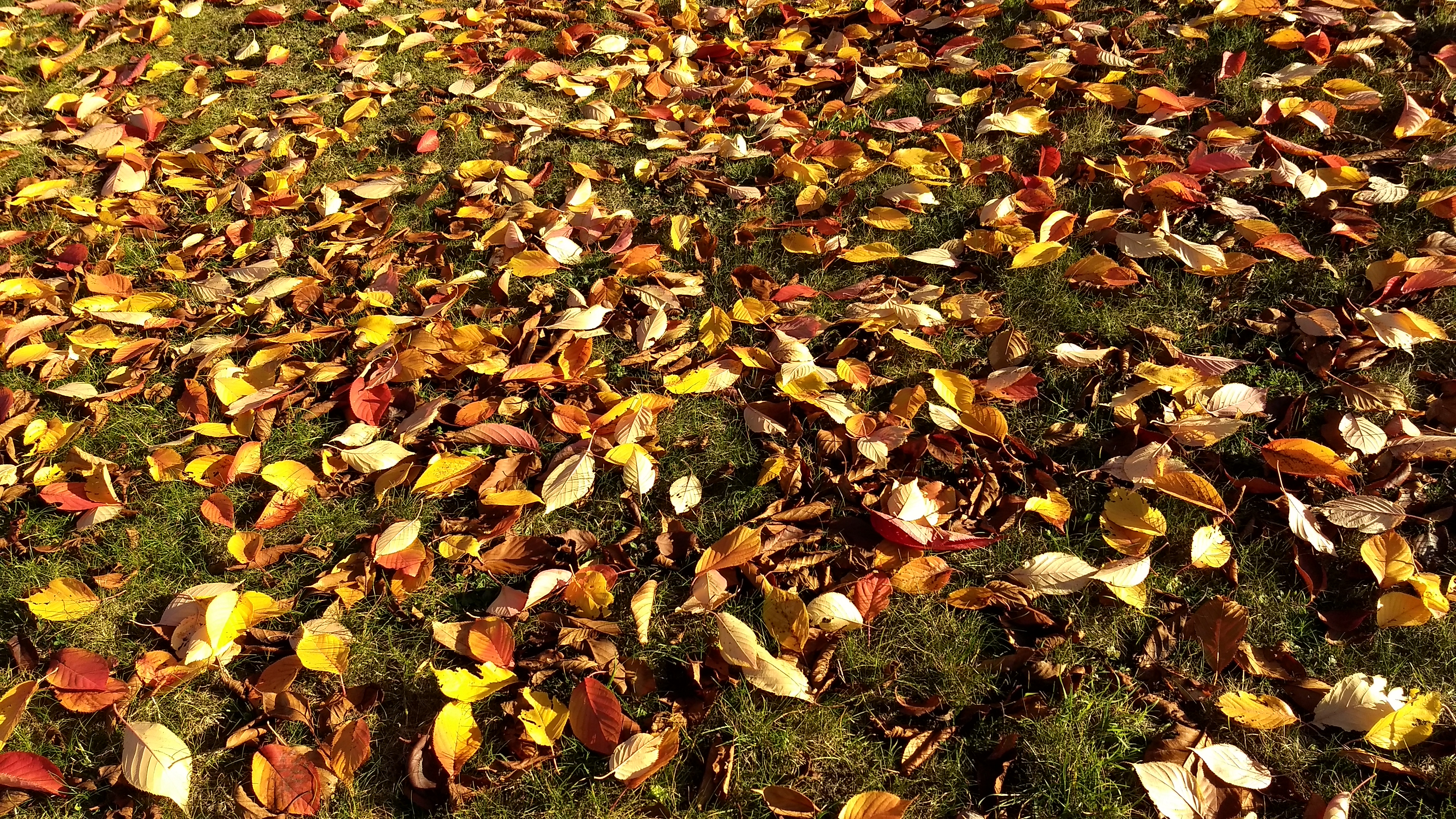 Photo n° 4 de l'avis de Jyotii.r fait le 17/11/2018 à 16:09