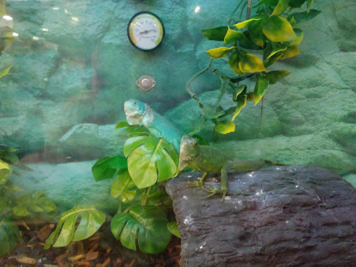 Pet Supply Store «Petco Animal Supplies», reviews and photos, 4440 Rib Mountain Dr, Wausau, WI 54401, USA