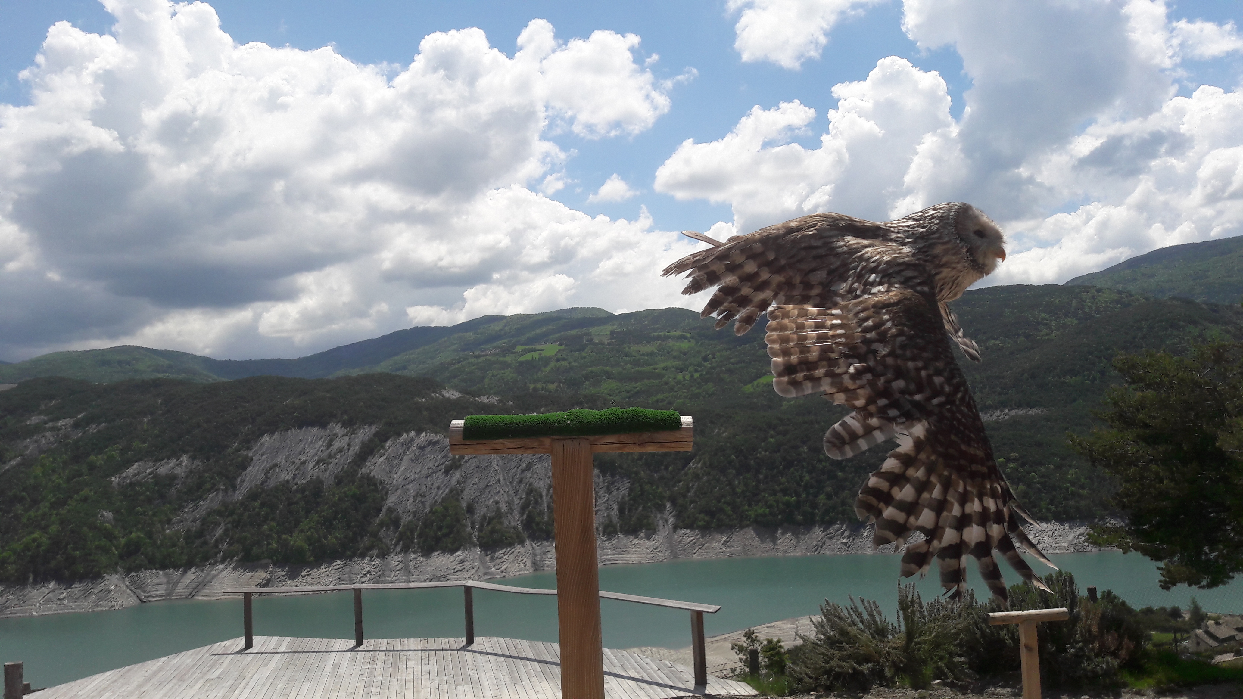 Photo n° 1 de l'avis de Noelie.a fait le 02/06/2018 à 21:46