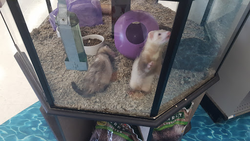 Pet Supply Store «Petco Animal Supplies», reviews and photos, 2230 Marlton Pike W #3, Cherry Hill, NJ 08002, USA