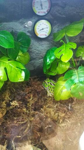 Pet Supply Store «Petco Animal Supplies», reviews and photos, 2765 Santa Rosa Ave, Santa Rosa, CA 95407, USA