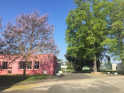 Lycée Etienne Restat - Agrocampus 47 à Sainte-Livrade-sur-Lot