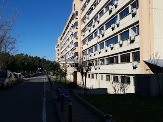 Sağlık Bilimleri Üniversitesi Sultan Abdülhamid Han Eğitim ve Araştırma Hastanesi