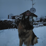 Photo n°6 de l'avis de Max.� fait le 21/12/2017 à 08:52 sur le  Zum Poppschen Gut à Olbernhau