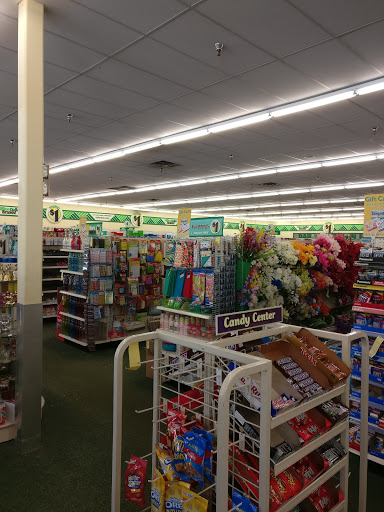 Dollar Store «Dollar Tree», reviews and photos, 723 W State Rte 22, Lake Zurich, IL 60047, USA
