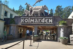 Kolmården Zoo image