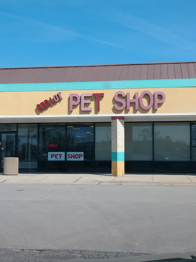 Odd Lot Pet Shop, 7769 S Harlem Ave, Bridgeview, IL 60455, USA, 