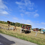 Photo n°2 de l'avis de Andreas.e fait le 11/09/2022 à 13:52 sur le  Restaurant Hainichbaude à Hörselberg-Hainich