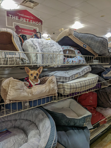 Department Store «HomeGoods», reviews and photos, 19165 West Rd, Woodhaven, MI 48183, USA