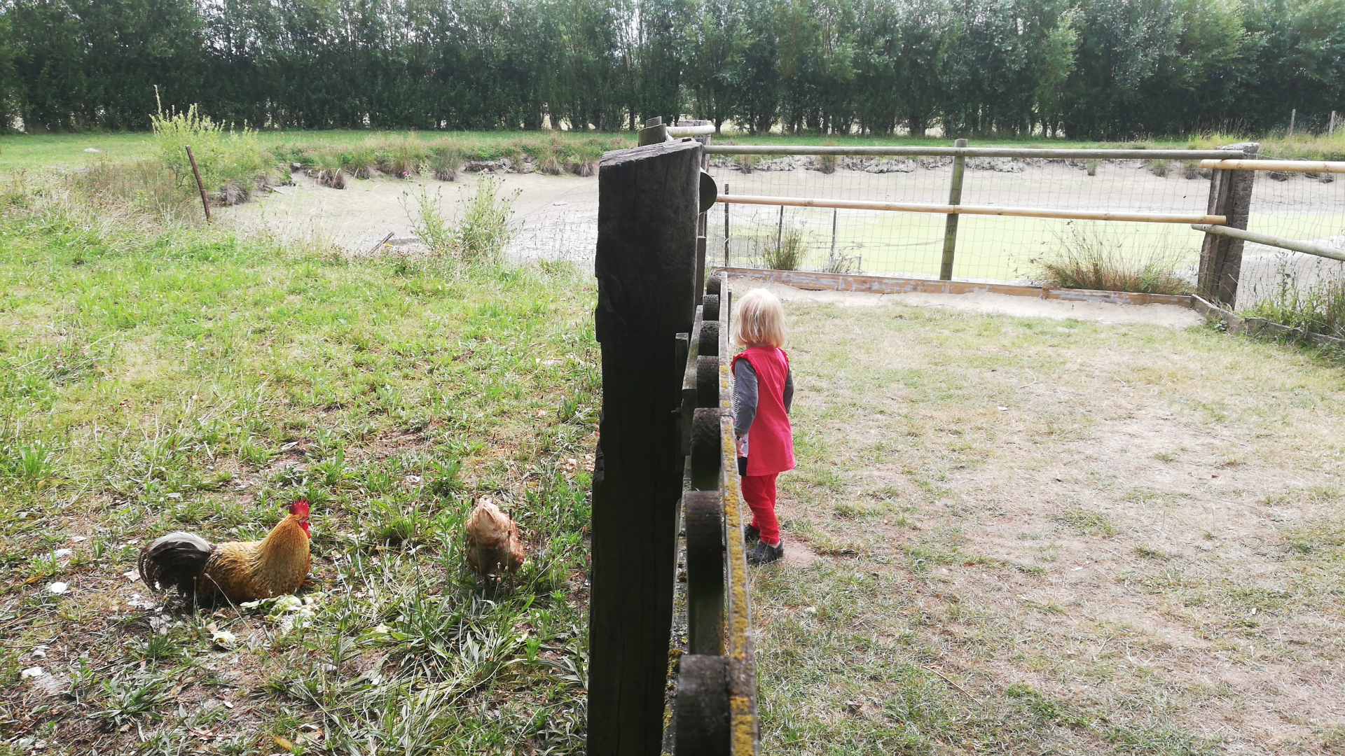 Photo n° 3 de l'avis de Virginie.. fait le 15/07/2020 à 13:27