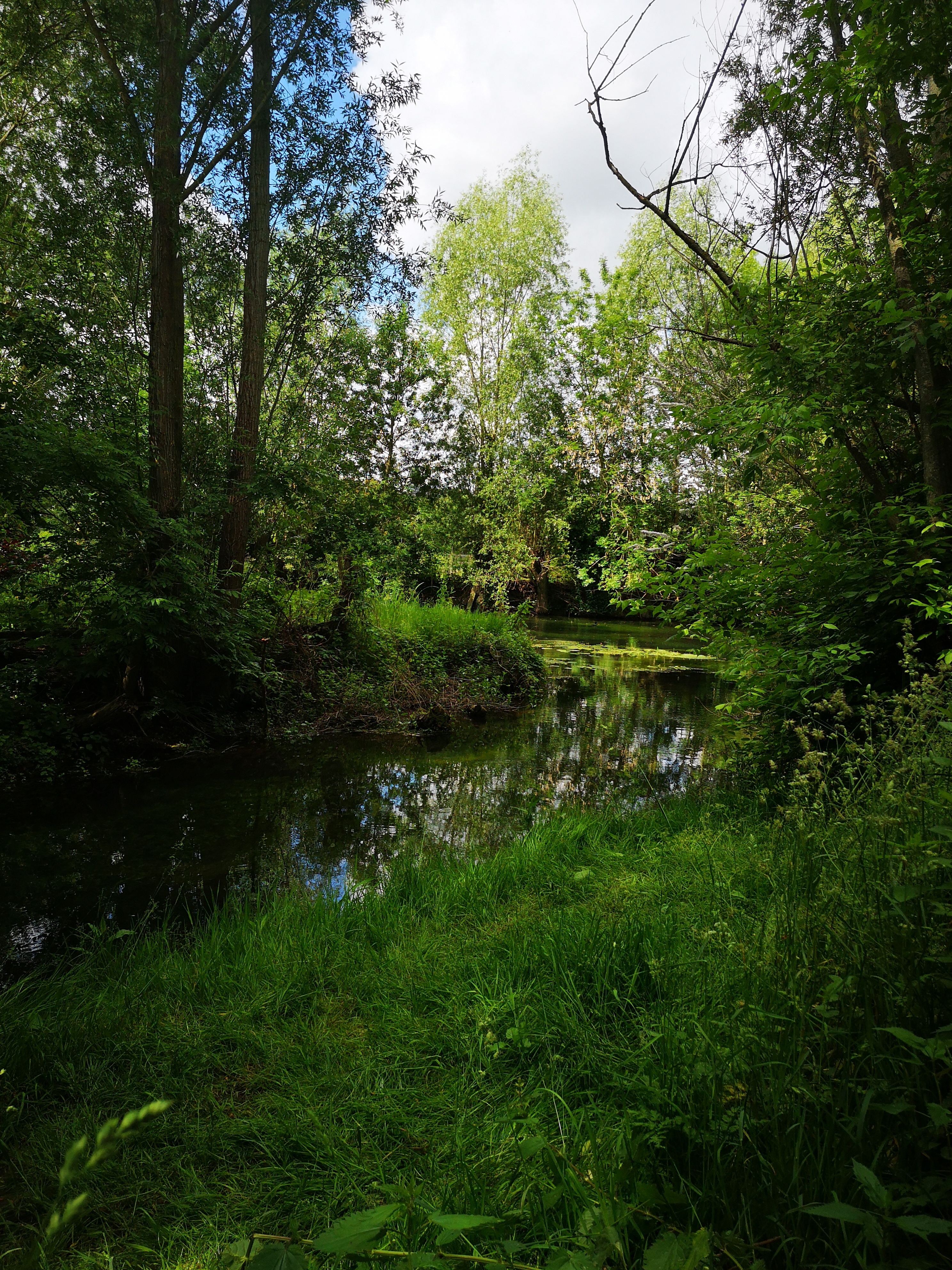 Photo n° 2 de l'avis de Dominique.A fait le 06/06/2019 à 10:15