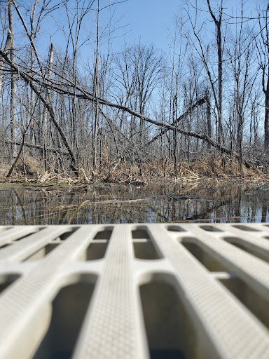 Nature Preserve «Beanblossom Bottoms Nature Preserve - Sycamore Land Trust», reviews and photos, N Woodall Rd, Ellettsville, IN 47429, USA