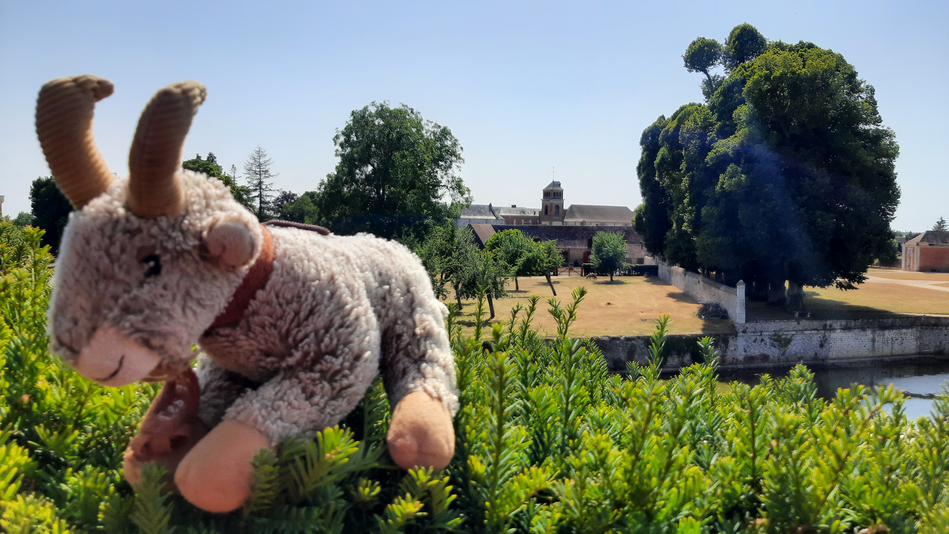 Photo n° 2 de l'avis de Armando.a fait le 18/07/2022 à 07:06