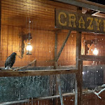 Photo n°8 de l'avis de Luca.i fait le 15/08/2022 à 20:13 sur le  Pizzeria Il Ranch à Anagni