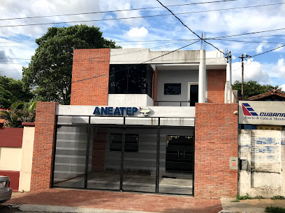Asociacion Nacional de Enfermeros Auxiliares y Tecnicos del Paraguay (ANEATEP)