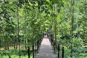 Swinging Bridge at Orange Grove