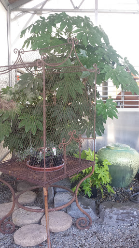 Florist «Vanlierop Garden Market Ltd», reviews and photos, 1020 Ryan Ave, Sumner, WA 98390, USA