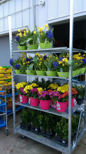 Discount Store «Walmart», reviews and photos, 321 NE Kings Valley Hwy, Dallas, OR 97338, USA