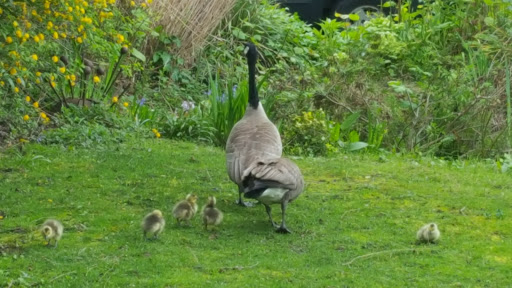 Park «Dr. Jose Rizal Park», reviews and photos, 1007 12th Ave S, Seattle, WA 98144, USA