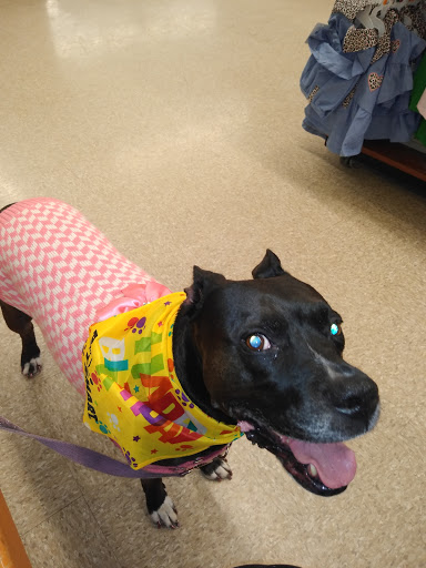 Pet Supply Store «PetSmart», reviews and photos, 3425 Amelia Dr, Orchard Park, NY 14127, USA