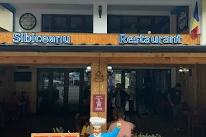 Sibiceanu Restaurant Dedulesti image