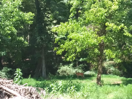 Wedding Venue «Brakefield At Riverwalk», reviews and photos, 1111 Brakefield Drive, Rock Hill, SC 29730, USA