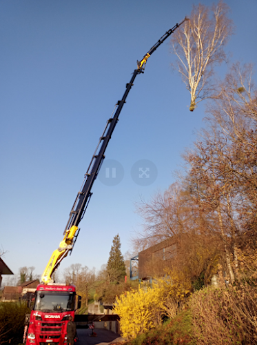 Mammutholzerei GmbH - Gartenbauer