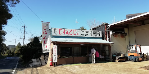 井戸店