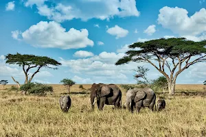 Siri Maasai Safari image