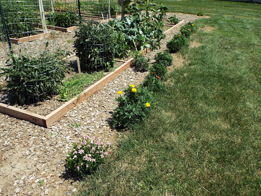 Non-Profit Organization «Kearney Family YMCA», reviews and photos, 4500 6th Ave, Kearney, NE 68845, USA