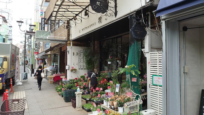 MOTOMACHI 花こ