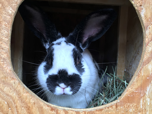 Animal Feed Store «Wardle Feed and Pet Supply», reviews and photos, 7610 3 Acre Ln, Wheat Ridge, CO 80033, USA