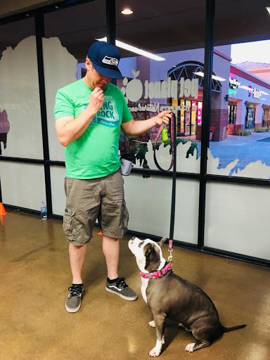 Pet Store «Pet Planet Ridgeview», reviews and photos, 2910 N Power Rd #103, Mesa, AZ 85215, USA