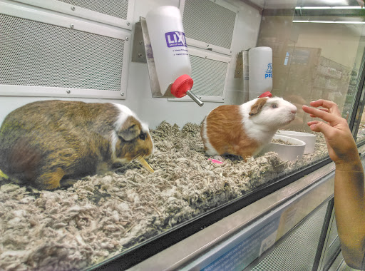 Pet Supply Store «Petco Animal Supplies», reviews and photos, 911 N Stratford Rd c, Moses Lake, WA 98837, USA